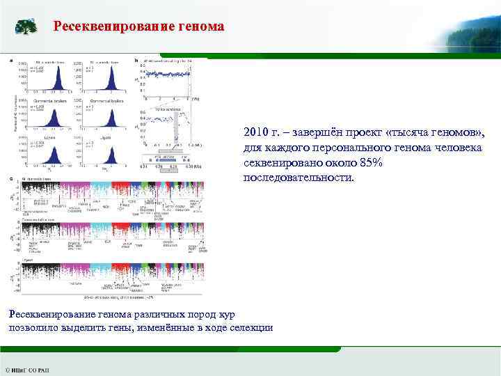 Ресеквенирование генома 2010 г. – завершён проект «тысяча геномов» , для каждого персонального генома
