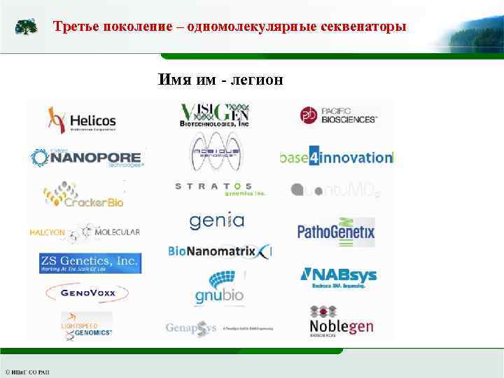Третье поколение – одномолекулярные секвенаторы Имя им - легион 