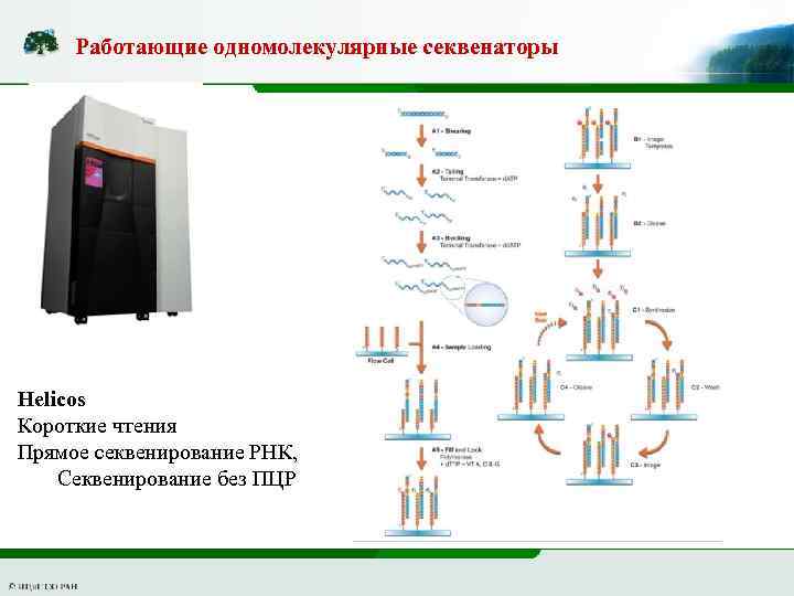 Работающие одномолекулярные секвенаторы Helicos Короткие чтения Прямое секвенирование РНК, Секвенирование без ПЦР 