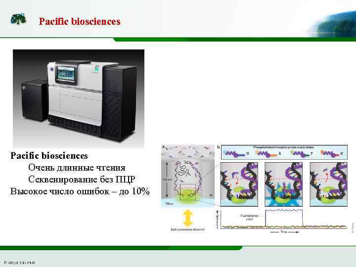 Рacific biosciences Очень длинные чтения Секвенирование без ПЦР Высокое число ошибок – до 10%