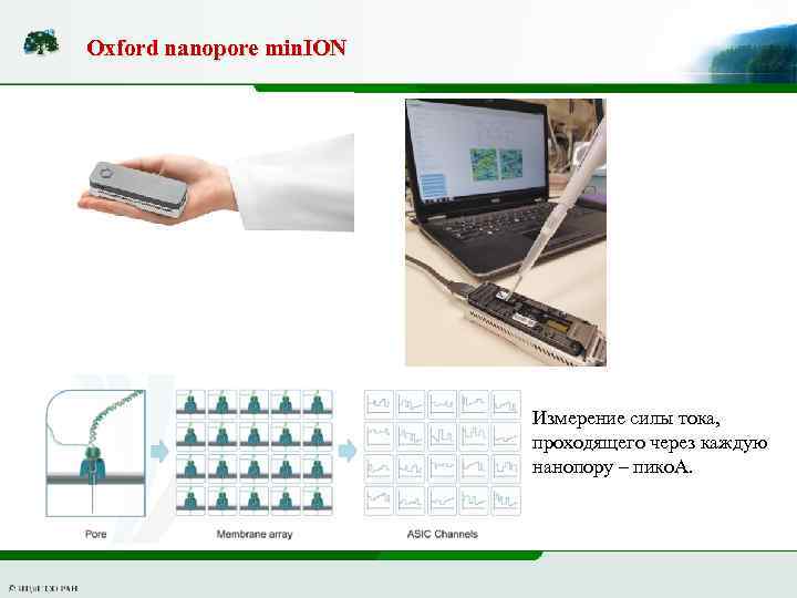 Oxford nanopore min. ION Измерение силы тока, проходящего через каждую нанопору – пико. А.