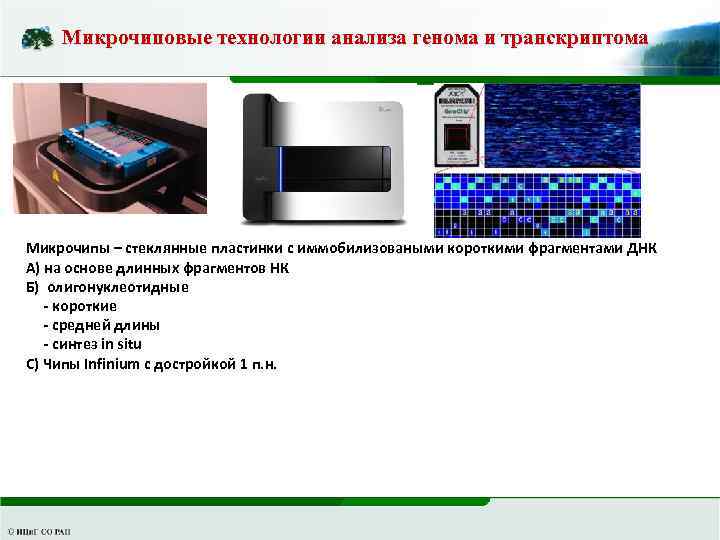 Микрочиповые технологии анализа генома и транскриптома Микрочипы – стеклянные пластинки с иммобилизоваными короткими фрагментами
