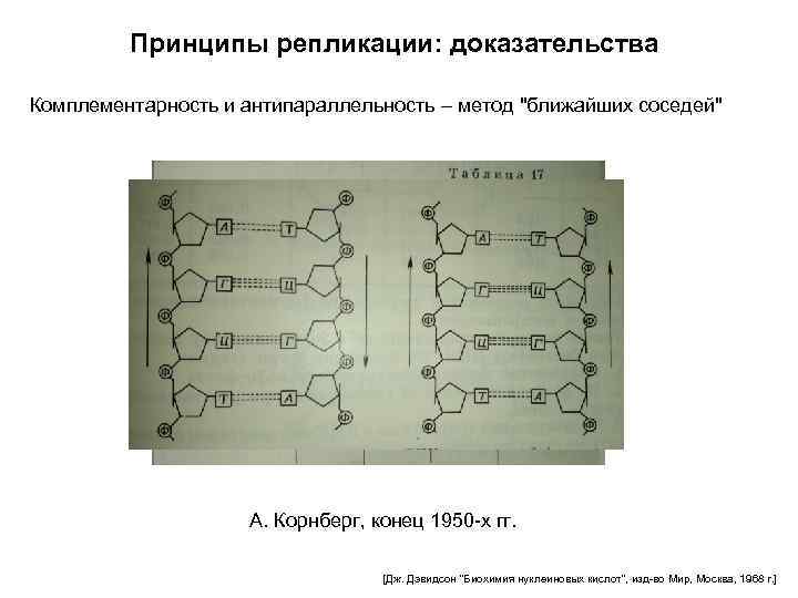Принципы репликации: доказательства Комплементарность и антипараллельность – метод 