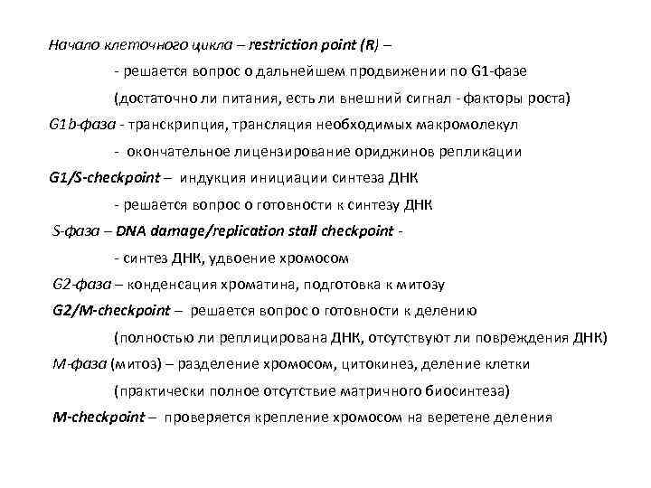 Начало клеточного цикла – restriction point (R) – - решается вопрос о дальнейшем продвижении