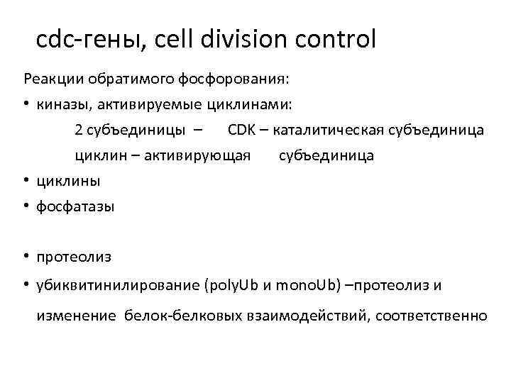 cdc-гены, сеll division control Реакции обратимого фосфорования: • киназы, активируемые циклинами: 2 субъединицы –