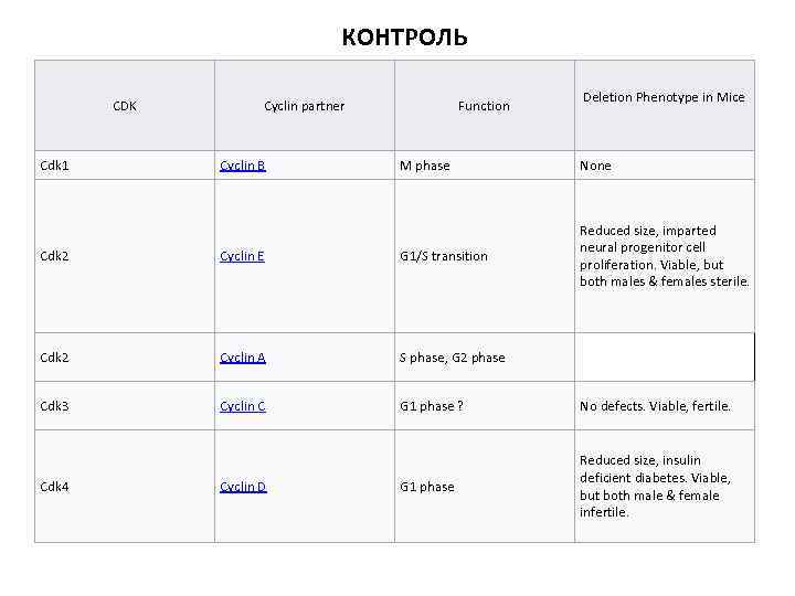 КОНТРОЛЬ CDK Cdk 1 Cyclin partner Cyclin B Function Deletion Phenotype in Mice M