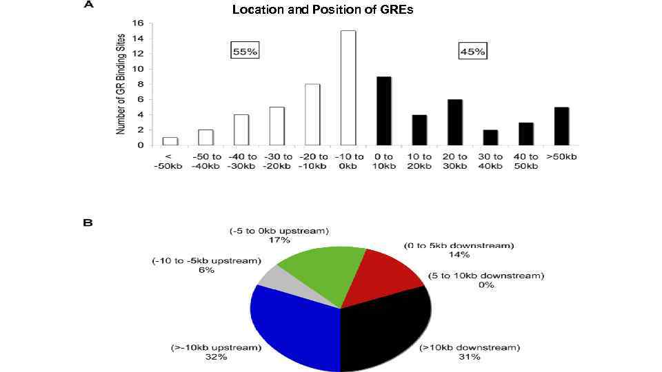 Location and Position of GREs 
