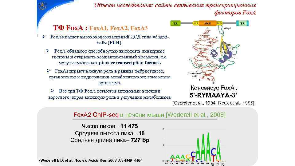 Объект исследования: cайты связывания транскрипционных факторов Fox. A ТФ Fox. A : Fox. A