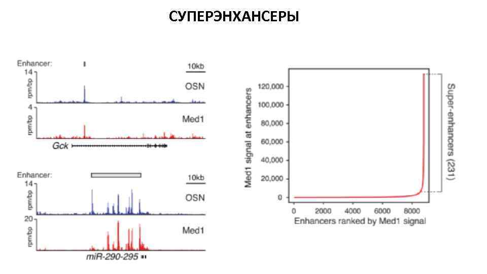 СУПЕРЭНХАНСЕРЫ 