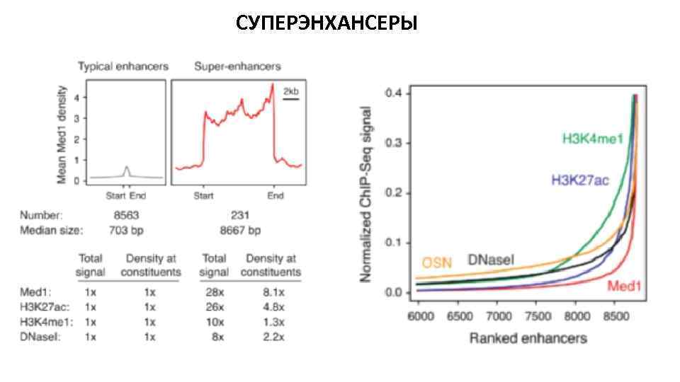 СУПЕРЭНХАНСЕРЫ 