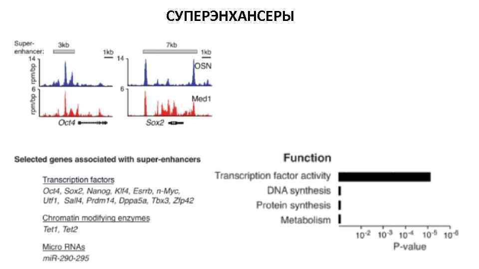 СУПЕРЭНХАНСЕРЫ 