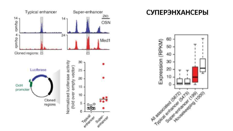 СУПЕРЭНХАНСЕРЫ 