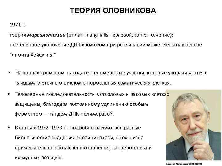 ТЕОРИЯ ОЛОВНИКОВА 1971 г. теория маргинотомии (от лат. marginalis - краевой, tome - сечение):
