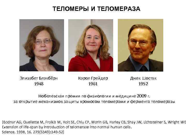 ТЕЛОМЕРЫ И ТЕЛОМЕРАЗА Элизабет Блэкбёрн 1948 Кэрол Грейдер 1961 Джек Шостак 1952 Нобелевская премия