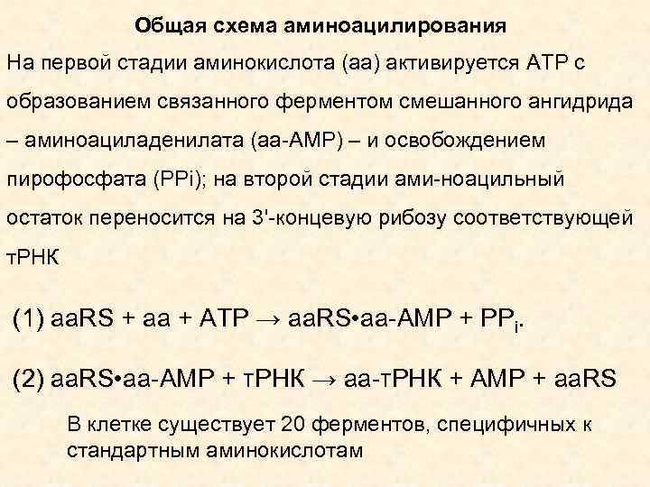 Общая схема аминоацилирования На первой стадии аминокислота (аа) активируется АТР с образованием связанного ферментом