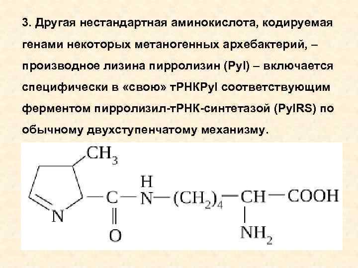 3. Другая нестандартная аминокислота, кодируемая генами некоторых метаногенных архебактерий, – производное лизина пирролизин (Pyl)