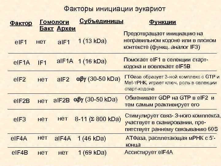 Факторы инициации эукариот Фактор Субъединицы Гомологи Бакт Археи 1 (13 k. Da) e. IF