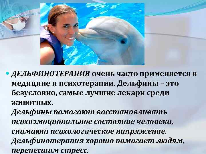  ДЕЛЬФИНОТЕРАПИЯ очень часто применяется в медицине и психотерапии. Дельфины – это безусловно, самые