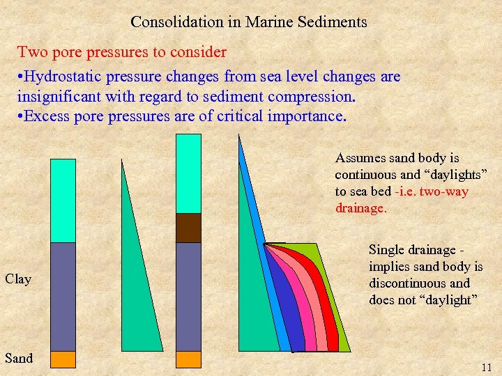 Consolidation in Marine Sediments Two pore pressures to consider • Hydrostatic pressure changes from