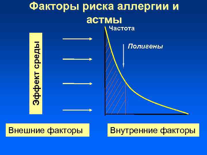 Факторы риска аллергии и астмы Эффект среды Частота Внешние факторы Полигены Внутренние факторы 