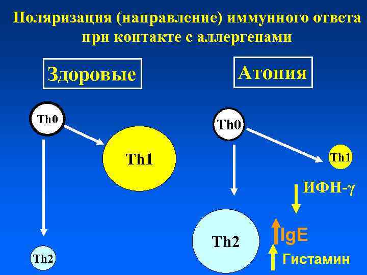 Поляризация (направление) иммунного ответа при контакте с аллергенами Здоровые Th 0 Атопия Th 0