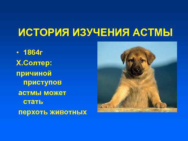 ИСТОРИЯ ИЗУЧЕНИЯ АСТМЫ • 1864 г Х. Солтер: причиной приступов астмы может стать перхоть