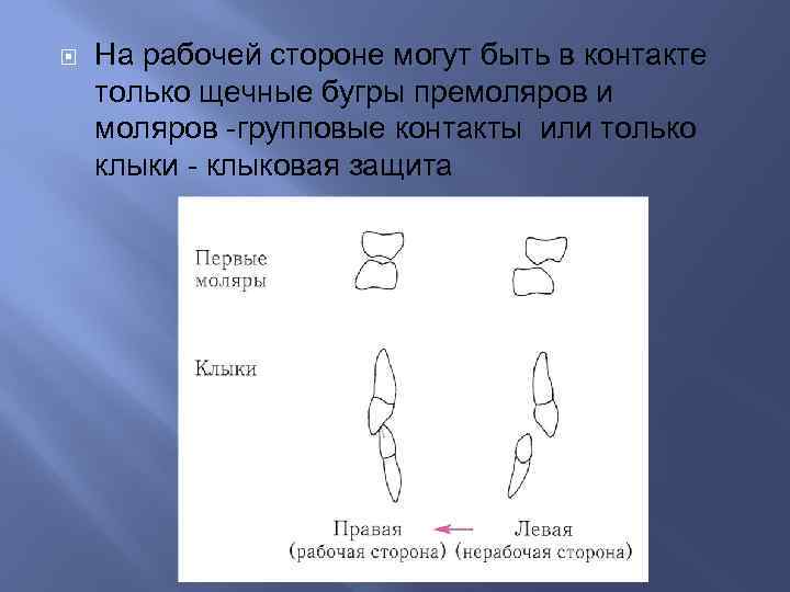 Идеальная схема окклюзионных контактов моляров и премоляров