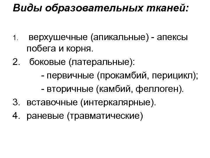 Виды образовательных тканей: верхушечные (апикальные) - апексы побега и корня. 2. боковые (латеральные): -