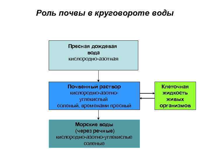 Роль почвы в круговороте воды Пресная дождевая вода кислородно-азотная Почвенный раствор кислородно-азотноуглекислый соленый, временами