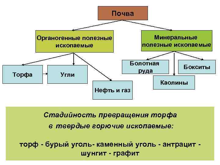 Почва Минеральные полезные ископаемые Органогенные полезные ископаемые Торфа Угли Болотная руда Бокситы Каолины Нефть