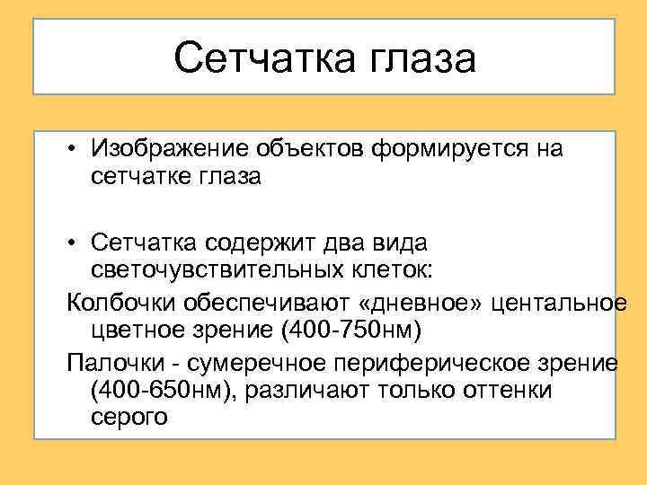 Сетчатка глаза • Изображение объектов формируется на сетчатке глаза • Сетчатка содержит два вида