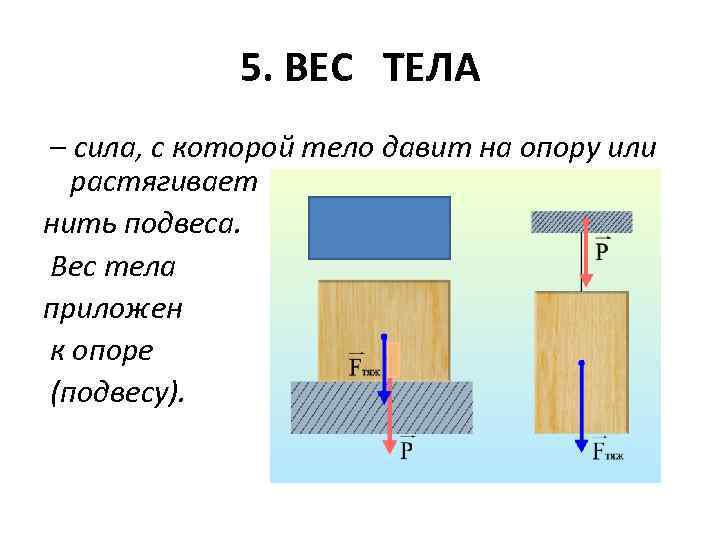 Изобразите на рисунке вес и силу тяжести. Сила трения и вес тела. Сила тяжести упругости трения вес тела. Физика сила тяжести упругости трения вес тела. Природа веса тела в физике.