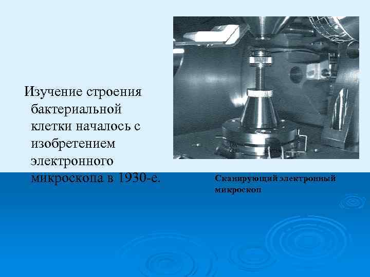 Изучение строения бактериальной клетки началось с изобретением электронного микроскопа в 1930 -е. Сканирующий электронный