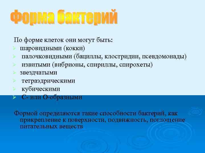  По форме клеток они могут быть: Ø шаровидными (кокки) Ø палочковидными (бациллы, клостридии,