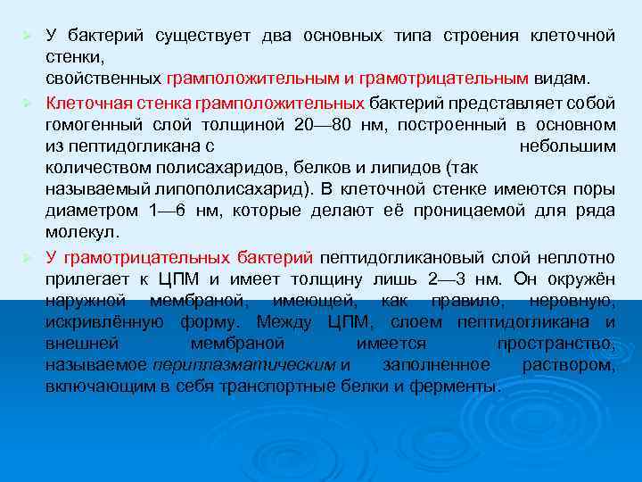 У бактерий существует два основных типа строения клеточной стенки, свойственных грамположительным и грамотрицательным видам.