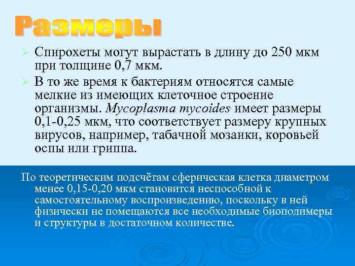 Спирохеты могут вырастать в длину до 250 мкм при толщине 0, 7 мкм. Ø