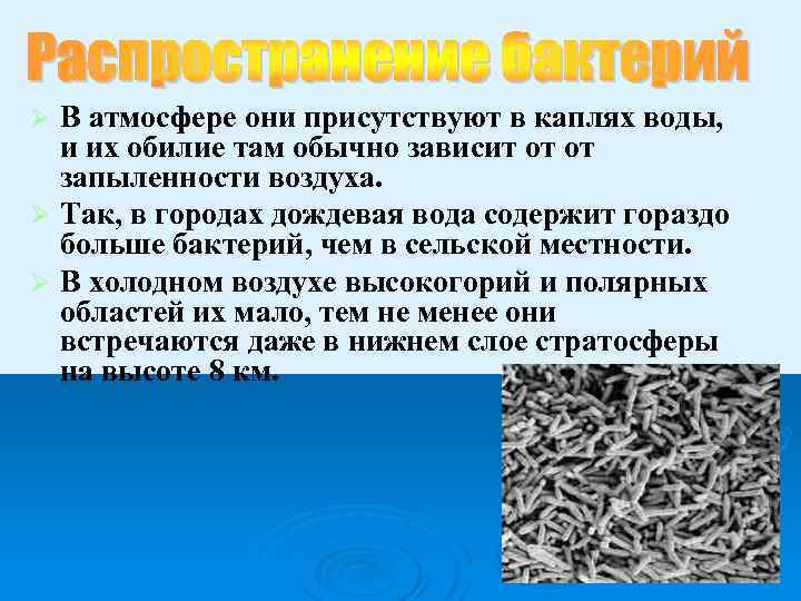 В атмосфере они присутствуют в каплях воды, и их обилие там обычно зависит от