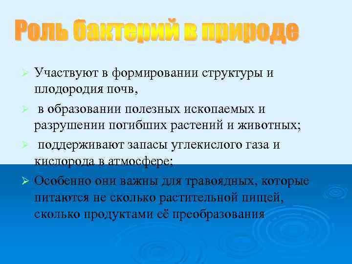 Участвуют в формировании структуры и плодородия почв, Ø в образовании полезных ископаемых и разрушении