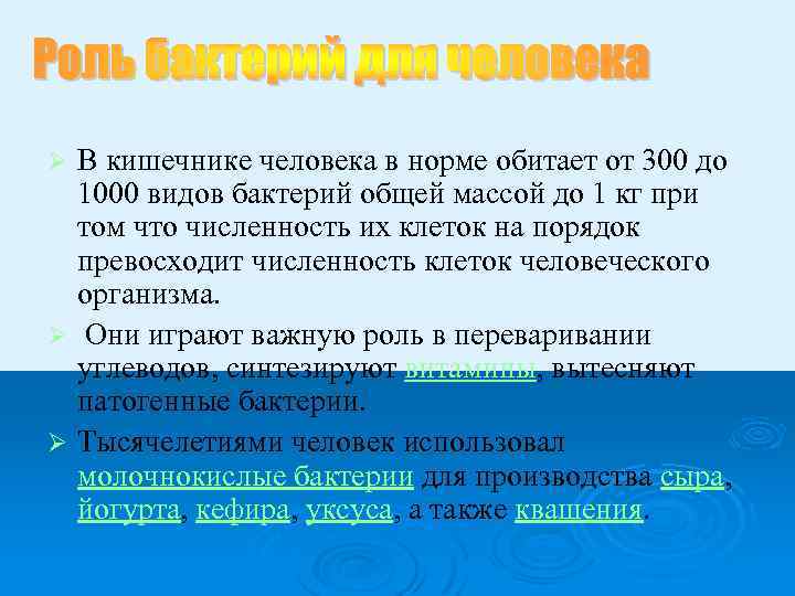 В кишечнике человека в норме обитает от 300 до 1000 видов бактерий общей массой