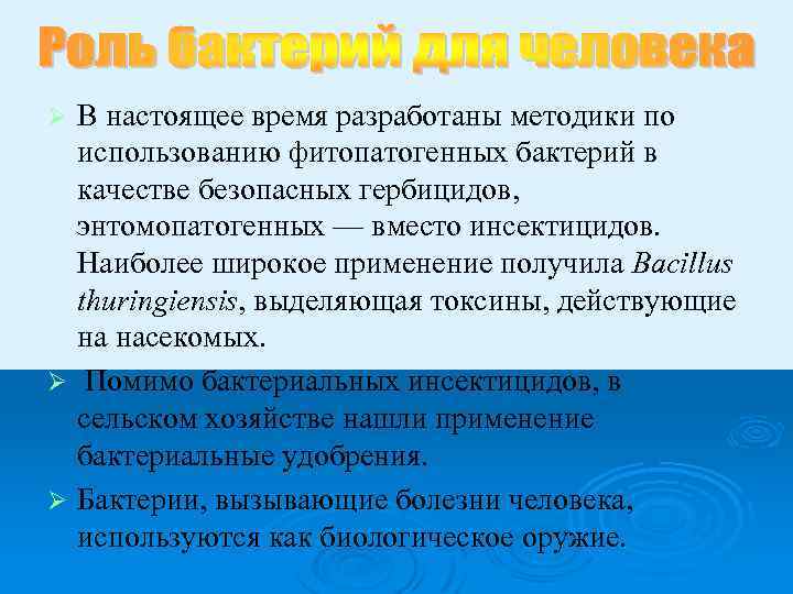 В настоящее время разработаны методики по использованию фитопатогенных бактерий в качестве безопасных гербицидов, энтомопатогенных