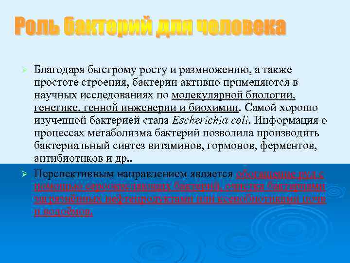 Благодаря быстрому росту и размножению, а также простоте строения, бактерии активно применяются в научных