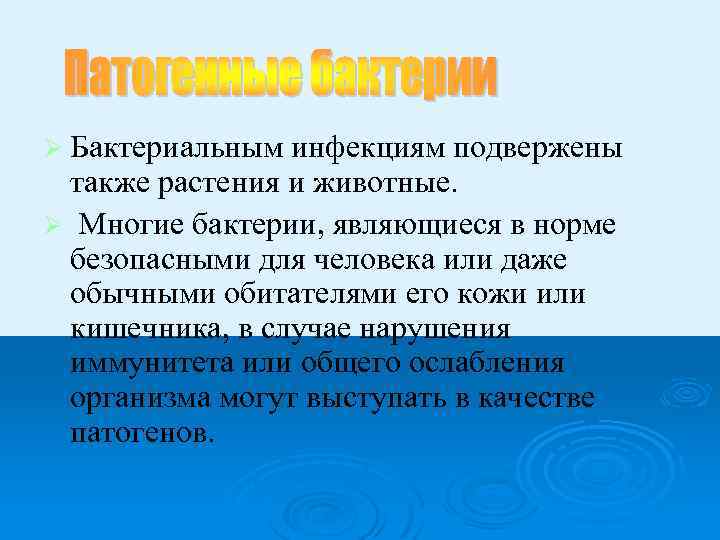 Ø Бактериальным инфекциям подвержены также растения и животные. Ø Многие бактерии, являющиеся в норме