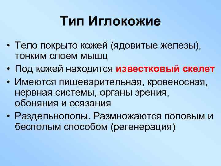 Тип Иглокожие • Тело покрыто кожей (ядовитые железы), тонким слоем мышц • Под кожей