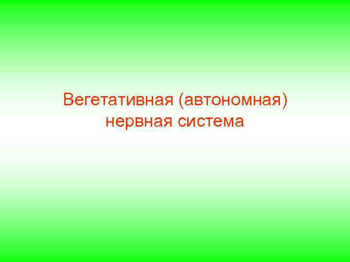 Вегетативная (автономная) нервная система 