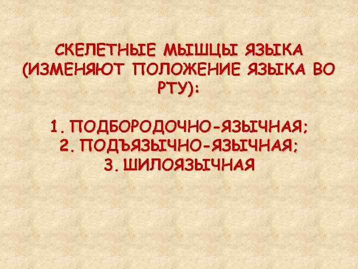 СКЕЛЕТНЫЕ МЫШЦЫ ЯЗЫКА (ИЗМЕНЯЮТ ПОЛОЖЕНИЕ ЯЗЫКА ВО РТУ): 1. ПОДБОРОДОЧНО-ЯЗЫЧНАЯ; 2. ПОДЪЯЗЫЧНО-ЯЗЫЧНАЯ; 3. ШИЛОЯЗЫЧНАЯ