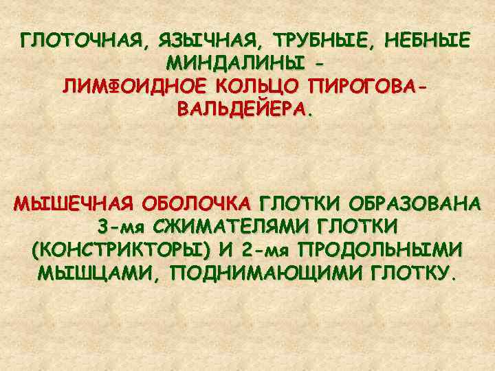 ГЛОТОЧНАЯ, ЯЗЫЧНАЯ, ТРУБНЫЕ, НЕБНЫЕ МИНДАЛИНЫ ЛИМФОИДНОЕ КОЛЬЦО ПИРОГОВАВАЛЬДЕЙЕРА. МЫШЕЧНАЯ ОБОЛОЧКА ГЛОТКИ ОБРАЗОВАНА 3 -мя