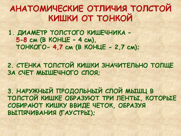 АНАТОМИЧЕСКИЕ ОТЛИЧИЯ ТОЛСТОЙ КИШКИ ОТ ТОНКОЙ 1. ДИАМЕТР ТОЛСТОГО КИШЕЧНИКА – 5 -8 см