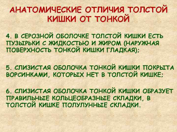 АНАТОМИЧЕСКИЕ ОТЛИЧИЯ ТОЛСТОЙ КИШКИ ОТ ТОНКОЙ 4. В СЕРОЗНОЙ ОБОЛОЧКЕ ТОЛСТОЙ КИШКИ ЕСТЬ ПУЗЫРЬКИ