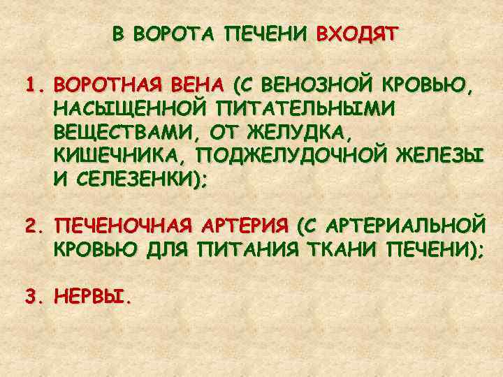 В ВОРОТА ПЕЧЕНИ ВХОДЯТ 1. ВОРОТНАЯ ВЕНА (С ВЕНОЗНОЙ КРОВЬЮ, НАСЫЩЕННОЙ ПИТАТЕЛЬНЫМИ ВЕЩЕСТВАМИ, ОТ