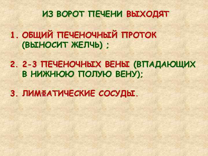 ИЗ ВОРОТ ПЕЧЕНИ ВЫХОДЯТ 1. ОБЩИЙ ПЕЧЕНОЧНЫЙ ПРОТОК (ВЫНОСИТ ЖЕЛЧЬ) ; 2. 2 -3